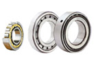 Cylindrical Roller Bearings