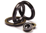 Oil Seals