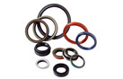 Oil Seals